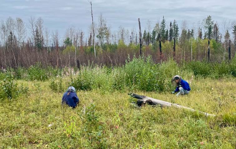 Behind the Paper: Vitamin C Deficiency in a Northern Saskatchewan ...